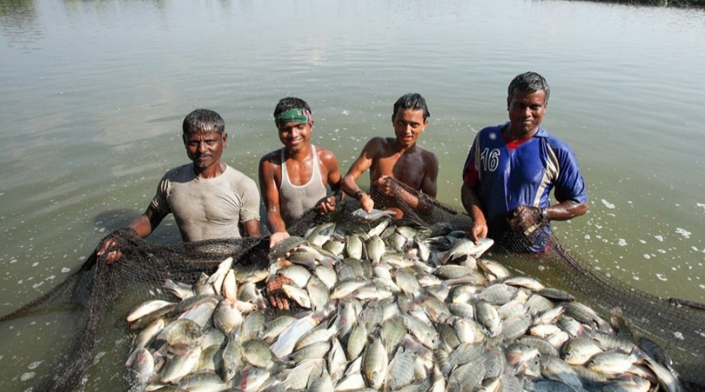 Bangladesh becomes second in freshwater fish production