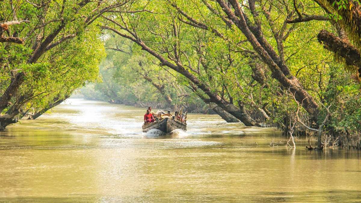 Tourism in Sundarbans Generates Tk 36.1 Million in FY 2023-24