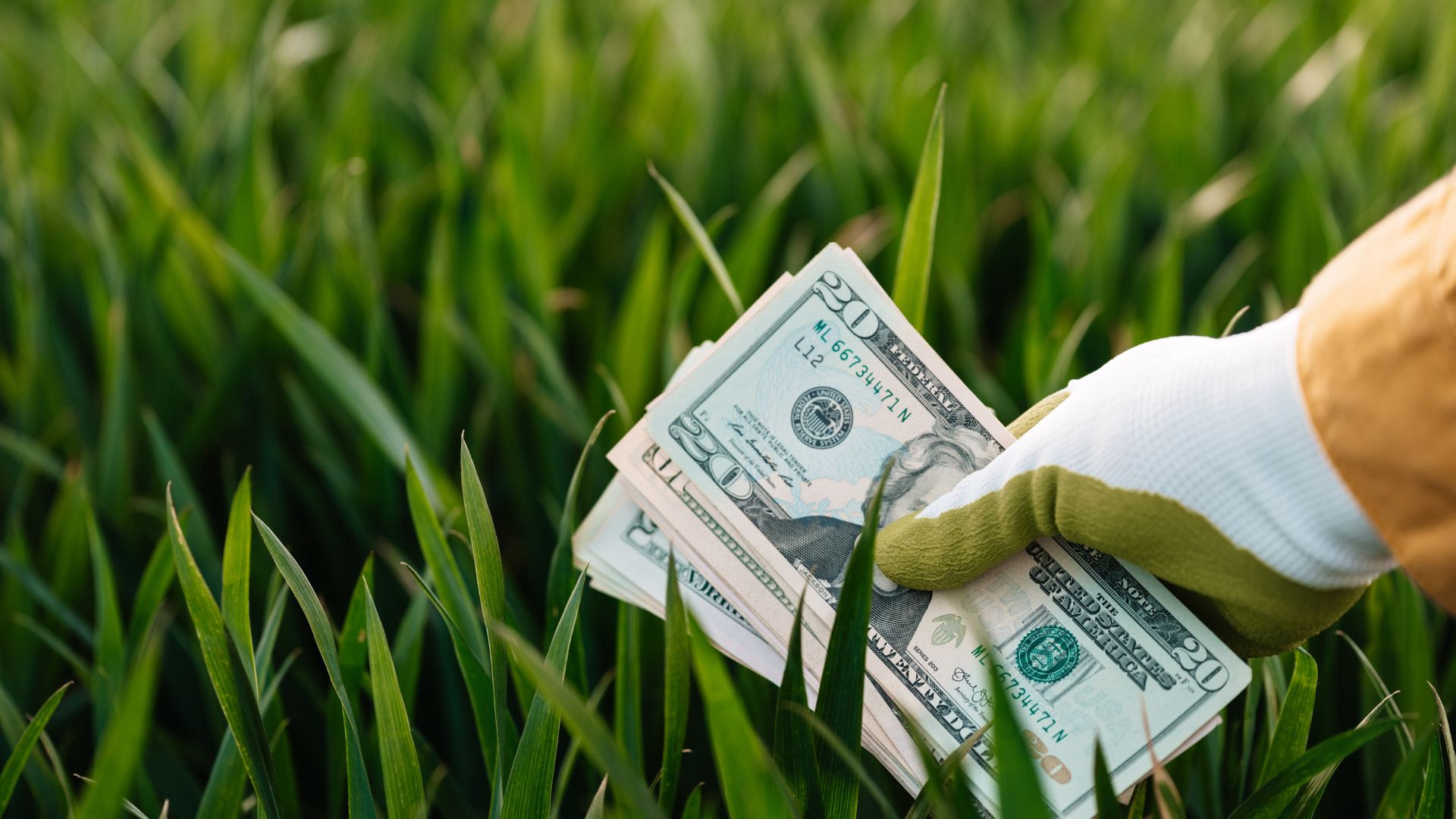 iFarmer Lands USD 1.5 Mn for Agri Value Chain Growth